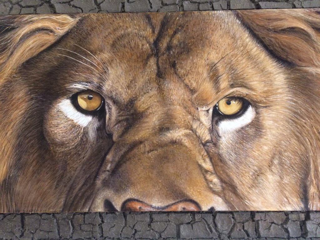 Le visage du lion, le regard intense